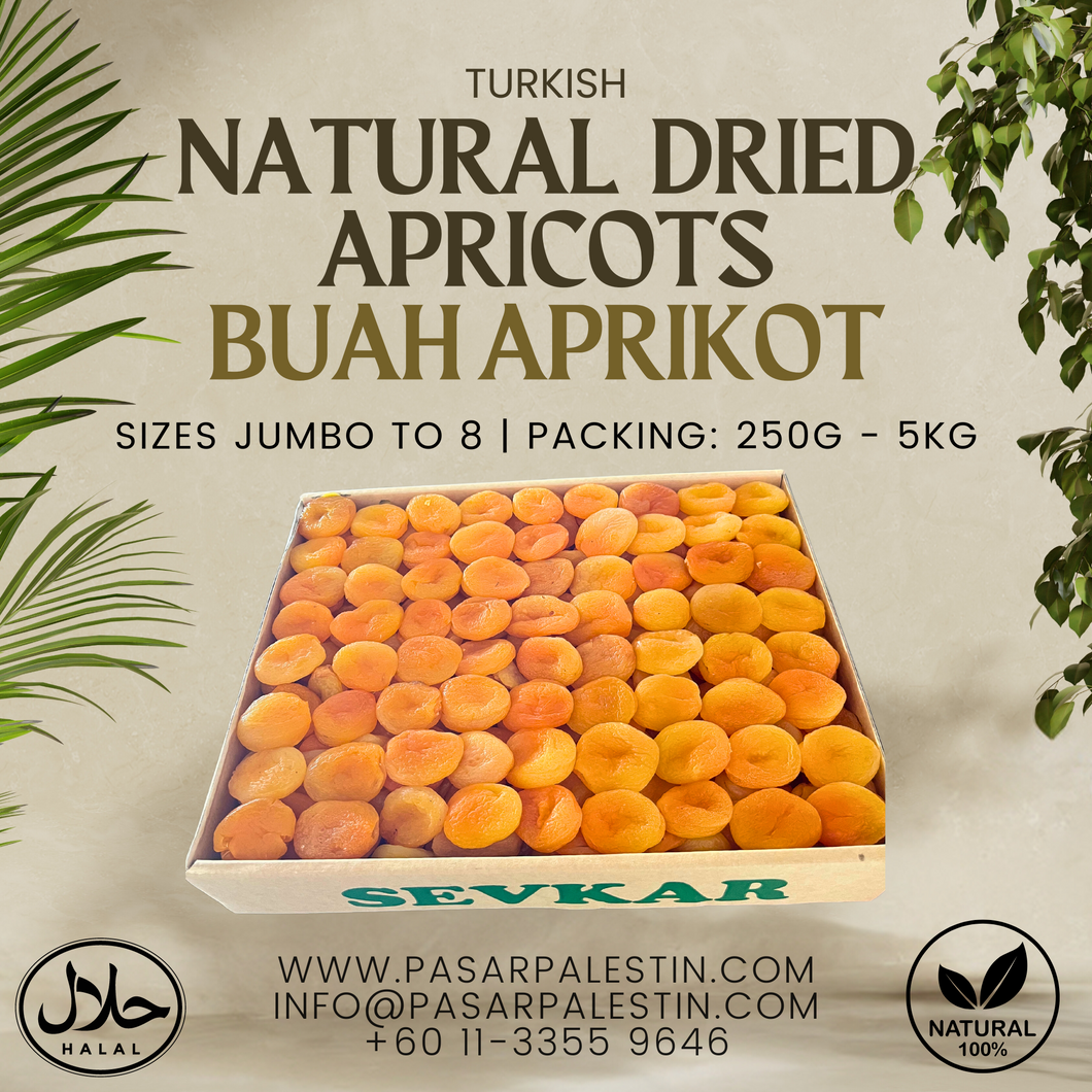 NATURAL DRIED APRICOTS - TURKIYE